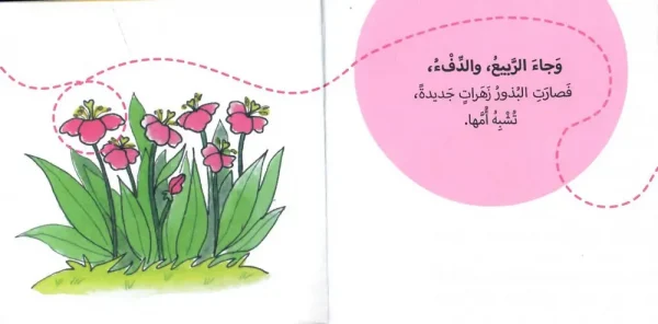 من زهرة إلى بذرة